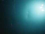 Motorhaube VW GOLF III (1H1) 2.0