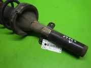 Federbein vorne links FORD TRANSIT Pritsche/Fahrgestell (FM_ _, FN_ _) 2.4 TDCi RWD