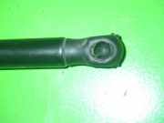 Gasdruckfeder Dämpfer hinten rechts FORD C-MAX (DM2) 2.0 TDCi 3M51-R406A10-AB