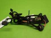 Kabelstrang Kabelbaum Tür hinten rechts VW PASSAT Variant (3B6) 1.9 TDI 3B0971161N