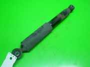 Stoßdämpfer hinten rechts FIAT FIORINO Kasten/Kombi (225) 1.3 D Multijet 51858772