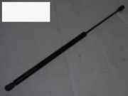 Gasdruckfeder Dämpfer hinten links PEUGEOT 406 Break (8E/F) 3.0 24V 9626771680