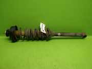 Federbein hinten links FORD ESCORT VII (GAL, AAL, ABL) 1.3