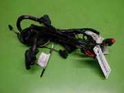 Kabelstrang Kabelbaum Tür links FORD FOCUS II Cabriolet 2.0 6N4T14A584