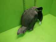 Radhausschale vorne rechts VW TOURAN (1T1, 1T2) 2.0 TDI 1T0805912G