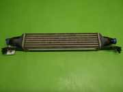 Ladeluftkühler OPEL CORSA D (S07) 1.3 CDTI