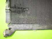 Wasserkühler RENAULT RAPID Kasten (F40_, G40_) 1.1 (F40H)