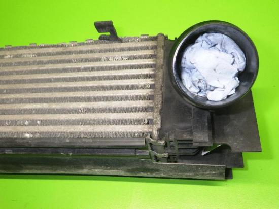 Ladeluftkühler BMW 3 (F30, F35, F80) 318 d xDrive 17517600530 Bild Ladeluftkühler BMW 3 (F30, F35, F80) 318 d xDrive 17517600530