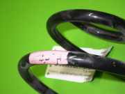 Feder hinten links RENAULT MODUS / GRAND MODUS (F/JP0_) 1.5 dCi (FP0F, JP0F) 36-300068