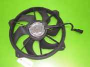 Lüfter CITROEN C4 Grand Picasso I (UA_) 1.6 HDi 1253L4