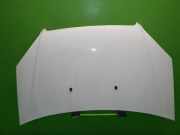 Motorhaube FIAT DOBLO (119) 1.3 D Multijet