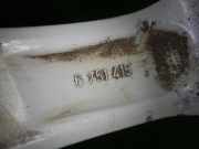 Alufelge BMW 3 (E46) 330 xi 6751415