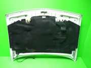 Motorhaube FORD FIESTA IV (JA_, JB_) 1.3 i 1014869