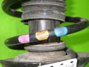 Federbein vorne rechts VW GOLF V Variant (1K5) 1.9 TDI 1K0413031CR