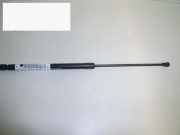Gasdruckfeder Dämpfer hinten rechts NISSAN (DATSUN) MICRA II (K11) 1.0 i 16V 904524F286
