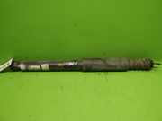 Stoßdämpfer hinten links RENAULT MODUS / GRAND MODUS (F/JP0_) 1.6 (JP0L, JP0V) 315154