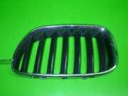 Kühlergrill vorne links BMW X5 (E53) 3.0 d 7124815