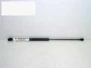 Gasdruckfeder Dämpfer vorne VW LUPO (6X1, 6E1) 1.0 6E0823359D