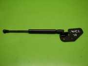 Gasdruckfeder Dämpfer hinten BMW 5 Touring (F11) 520 d 51247207011