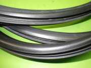 Türgummi Türdichtung hinten links RENAULT MODUS / GRAND MODUS (F/JP0_) 1.2 (JP0C, JP0K, FP0C, FP0K, FP
