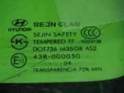 Dreieckscheibe hinten links HYUNDAI TUCSON (JM) 2.0 Allrad