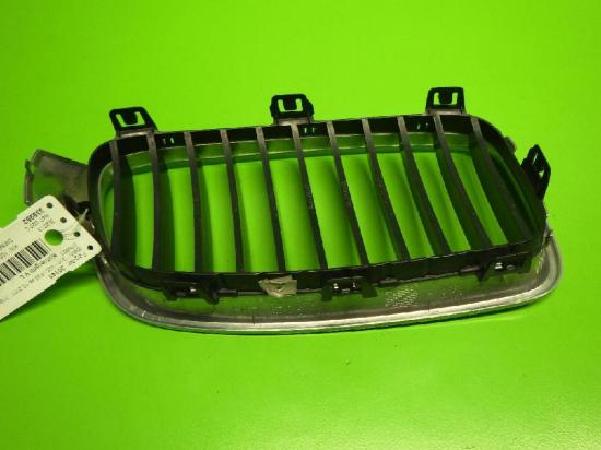 Kühlergrill vorne links BMW 3 (F30, F35, F80) 318 d xDrive 51137255411 Bild Kühlergrill vorne links BMW 3 (F30, F35, F80) 318 d xDrive 51137255411