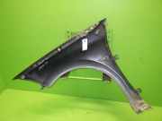 Kotflügel vorne rechts RENAULT MEGANE II (BM0/1_, CM0/1_) 1.9 dCi (BM0G, CM0G) 7701477187