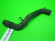 Kühlerschlauch oben RENAULT MODUS / GRAND MODUS (F/JP0_) 1.2 (JP0C, JP0K, FP0C, FP0K, FP 8200520037