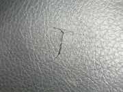 Lenkrad BMW 3 (F30, F35, F80) 318 d xDrive 62560009B