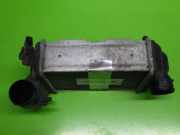 Ladeluftkühler links VW PASSAT (3B3) 2.5 TDI 059145805