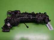 Ansaugkrümmer BMW X3 (F25) xDrive 20 d 11617807991