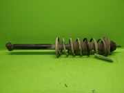 Federbein hinten rechts VW GOLF IV Cabriolet (1E7) 1.9 TDI 105739