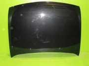 Motorhaube FORD FIESTA IV (JA_, JB_) 1.25 i 16V