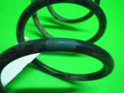 Feder vorne rechts FORD SIERRA Schrägheck (GBC, GBG) 2.0 i