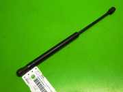 Gasdruckfeder Dämpfer vorne VW MULTIVAN T5 (7HM, 7HN, 7HF, 7EF, 7EM, 7EN) 2.5 TDI 7H0823359C