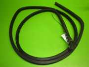 Türgummi Türdichtung vorne links RENAULT KANGOO Rapid (FC0/1_) 1.9 dCi 4x4 (FC0V)