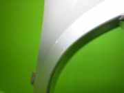 Kotflügel vorne rechts FIAT ULYSSE (179_) 2.2 JTD