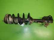 Federbein vorne rechts TOYOTA YARIS VERSO (_NLP2_, _NCP2_) 1.4 D-4D (NLP22)