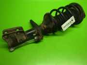 Federbein vorne rechts LAND ROVER FREELANDER Soft Top (LN_) 2.0 DI 4x4 104701
