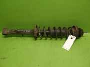 Stoßdämpfer hinten rechts VW POLO (6N2) 1.4 6N0513031H