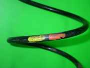 Feder vorne links FIAT SEICENTO / 600 (187_) 1.1 (187AXB, 187AXB1A, 187AXC1A02) 0046456221