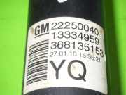 Stoßdämpfer hinten links OPEL MERIVA B 1.4 22250040