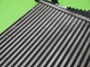 Ladeluftkühler OPEL INSIGNIA Caravan 2.0 Turbo 4x4 P1831001