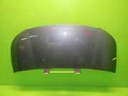 Motorhaube CITROEN C3 Picasso 1.6 HDi