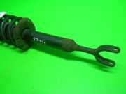 Federbein vorne links AUDI (NSU) A6 Avant (4B5, C5) 2.5 TDI quattro 4B0412031BN