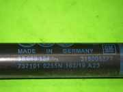 Gasdruckfeder Dämpfer hinten links OPEL CORSA E (X15) 1.4 39089134