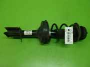 Stoßdämpfer vorne links RENAULT TWINGO II (CN0_) 1.2 16V (CN04, CN0A, CN0B) 824902005479