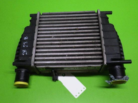 Ladeluftkühler NISSAN (DATSUN) NV200 EVALIA 1.5 dci 14461EM00A Bild Ladeluftkühler NISSAN (DATSUN) NV200 EVALIA 1.5 dci 14461EM00A