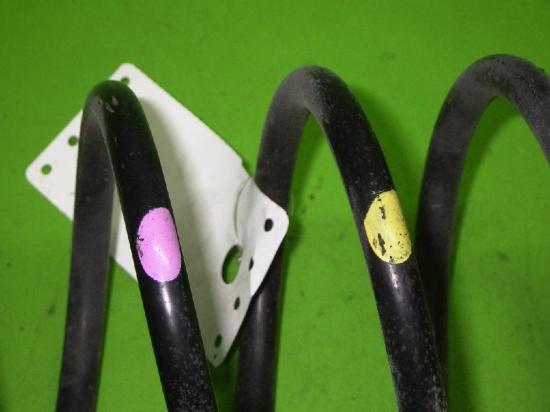 Feder hinten links CHEVROLET AVEO / KALOS Schrägheck (T200) 1.4 16V 96653226 Bild Feder hinten links CHEVROLET AVEO / KALOS Schrägheck (T200) 1.4 16V 96653226