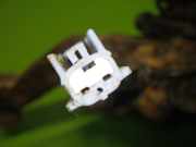 Achsschenkel vorne links NISSAN (DATSUN) X-TRAIL (T30) 2.2 Di 4x4